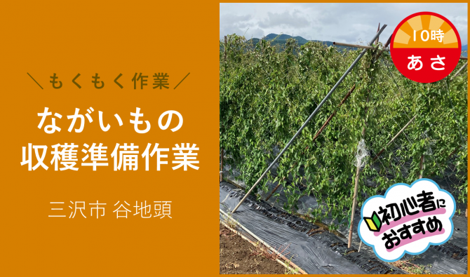 「「織笠徳任さん」11月の10時スタートのお仕事カレンダー」のサムネイル