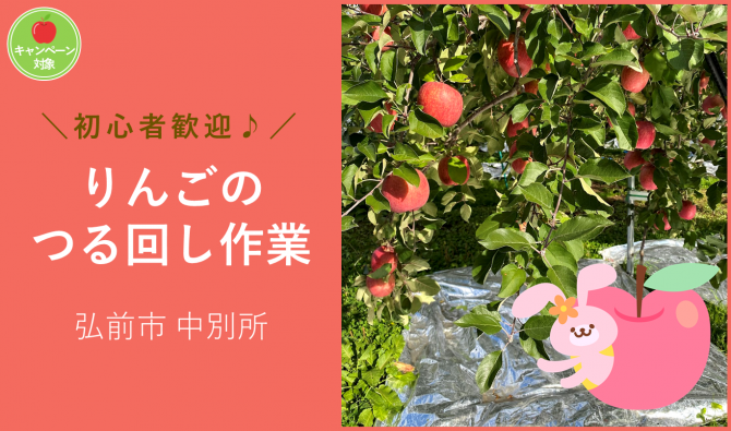 「「 TusimaAppleFarmさん」10月のお仕事カレンダー」のサムネイル