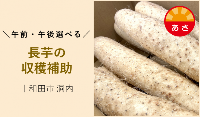 「「芋田一弘さん」11月の午前のみのお仕事カレンダー」のサムネイル