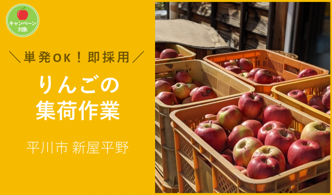 「「佐藤寛商店さん」11月のお仕事カレンダー」のサムネイル