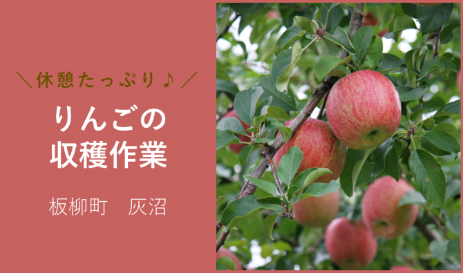 「「奈良農園さん」11月のお仕事カレンダー」のサムネイル