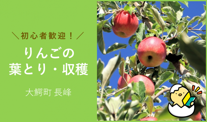 「「山田梅雄さん」11月のお仕事カレンダー」のサムネイル