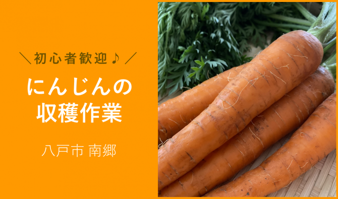 「「馬場農園さん」11月のお仕事カレンダー」のサムネイル