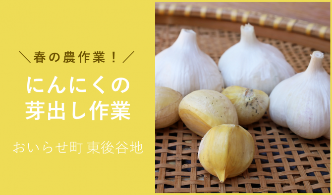 「「シルクファームさん」3月のお仕事カレンダー」のサムネイル