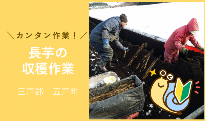 「「大山農園様 ながいもの収穫補助作業」3月のお仕事カレンダー」のサムネイル