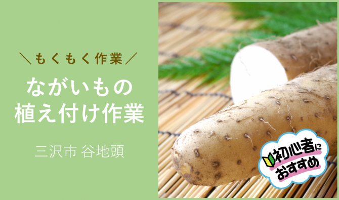 「「織笠徳任さん【13時スタート】」5月のお仕事カレンダー」のサムネイル