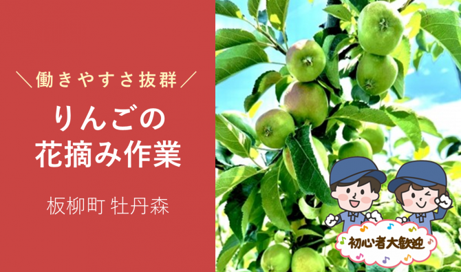 「「ゆうきアップルさん」りんご摘果作業/6月のお仕事カレンダー」のサムネイル