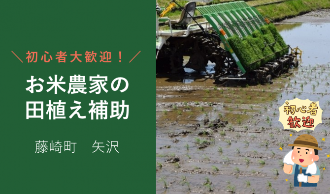 「「 成田農園さん」藤崎町 田植え補助作業 5月お仕事カレンダー」のサムネイル