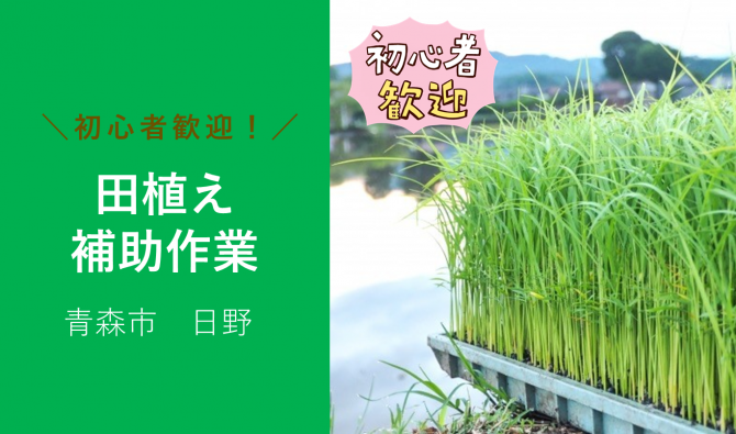 「「 飯塚農園さん」青森市 田植え補助作業 5月お仕事カレンダー」のサムネイル