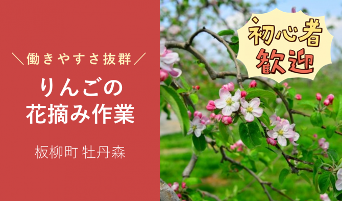 「「ゆうきアップルさん」りんご花摘み作業/5月のお仕事カレンダー」のサムネイル