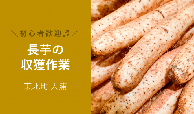 「「 小川原湖農園さん」ながいも収穫作業 5月お仕事カレンダー」のサムネイル
