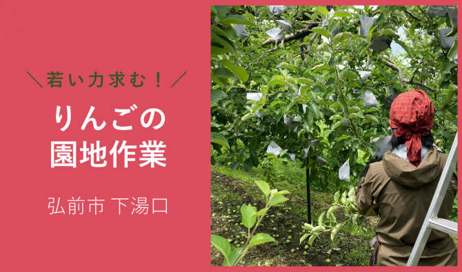 「「 しもやま農園さん」弘前市 りんご園地作業 5月お仕事カレンダー」のサムネイル