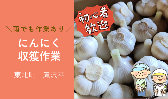 「「 東北農事組合さん」東北町 にんにく収穫作業 6月お仕事カレンダー」のサムネイル
