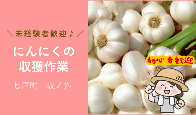 「「伊賀一右エ門さん」七戸町 ニンニク収穫・根切作業(女性のお仕事)作業 6月お仕事カレンダー」のサムネイル