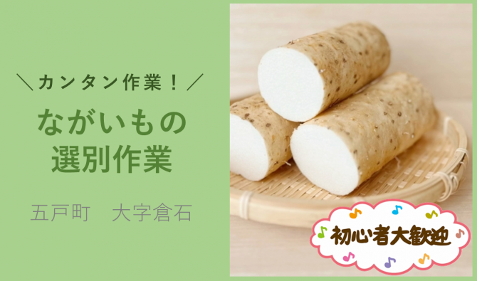 「「小笠原隆太郎さん」ながいも選別/5月のお仕事カレンダー」のサムネイル