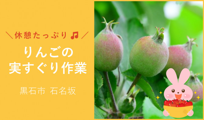 「「Seven Apple木村農園さん」黒石市 りんごの実すぐり作業 6月お仕事カレンダー」のサムネイル