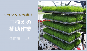 「「 大川商店さん」弘前市 田植えの補助作業 5月お仕事カレンダー」のサムネイル