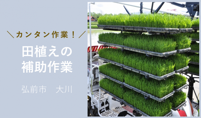 「「 大川商店さん」弘前市　田植え補助作業　5月お仕事カレンダー」のサムネイル
