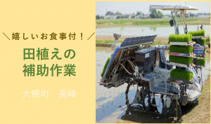 「「 ハラコ流通有限会社さん」大鰐町 田植え補助作業 5月お仕事カレンダー」のサムネイル