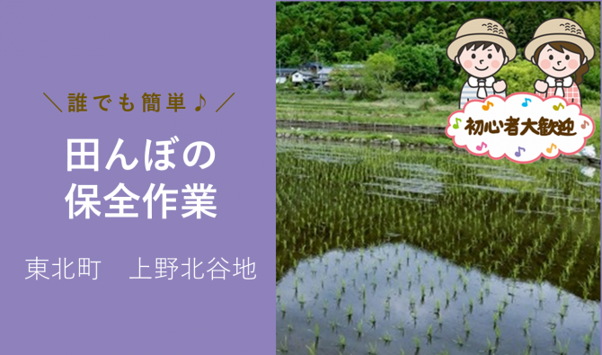 「「 鶴ケ崎農産株式会社さん」東北町 田植え作業補助(女性のお仕事) 6月お仕事カレンダー」のサムネイル