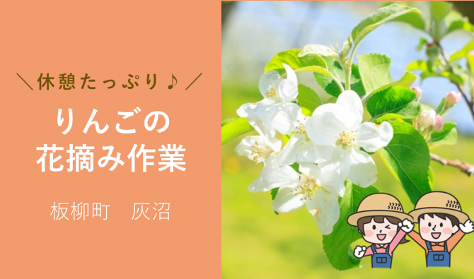 「「奈良農園さん」弘前市 りんご花摘み作業 5月お仕事カレンダー」のサムネイル