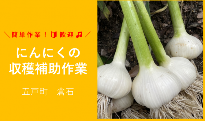 「「 古田和之さん」五戸町 にんにくの運搬・根切り作業 7月お仕事カレンダー」のサムネイル