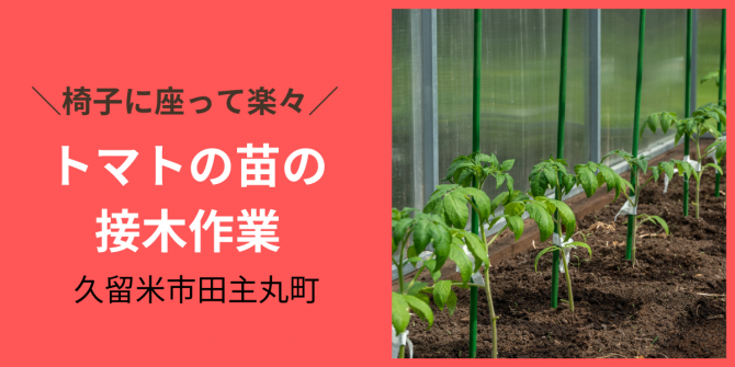 「トマトの苗の接木作業 7月のお仕事カレンダー」のサムネイル