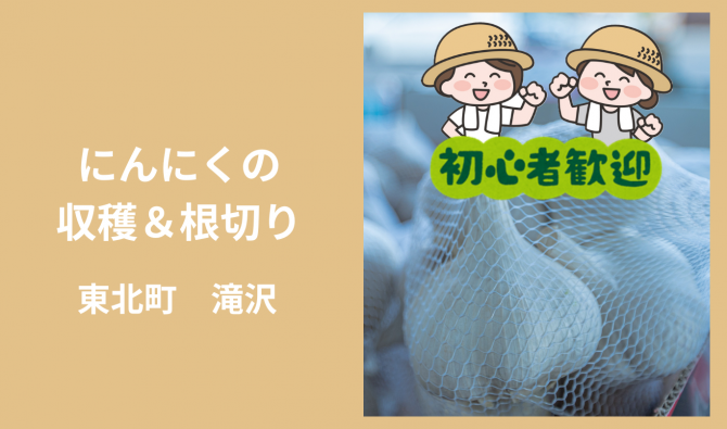 「「 株式会社ひかり農園さん」東北町　にんにく収穫・根切り作業 7月お仕事カレンダー」のサムネイル