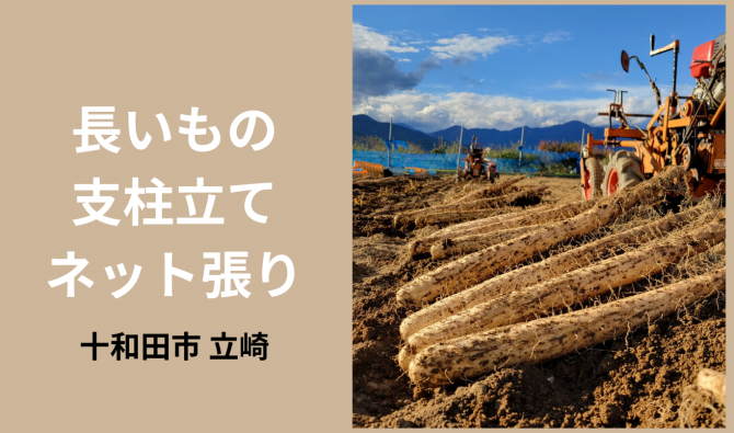 「「 立崎輝貴さん」十和田市 長芋のネット張り作業 6月お仕事カレンダー」のサムネイル