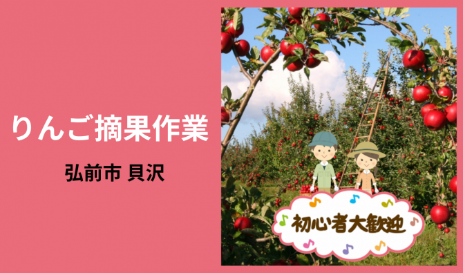「「 須藤農園さん」弘前市 りんごの実すぐり作業 7月お仕事カレンダー」のサムネイル