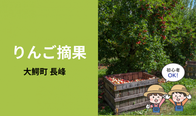 「「 釈迦のりんご園さん」大鰐町 りんご摘果作業 7月お仕事カレンダー」のサムネイル