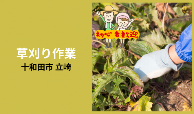 「「 立崎輝貴さん」十和田市 畑の草刈り作業 7月お仕事カレンダー」のサムネイル