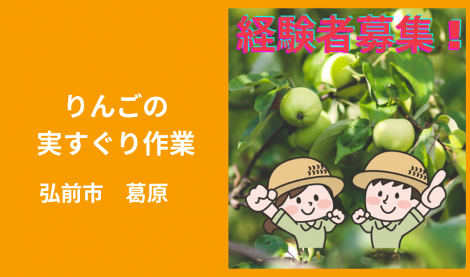 「「 田村農園さん」弘前市 経験者仕上げ摘果作業 7月お仕事カレンダー」のサムネイル