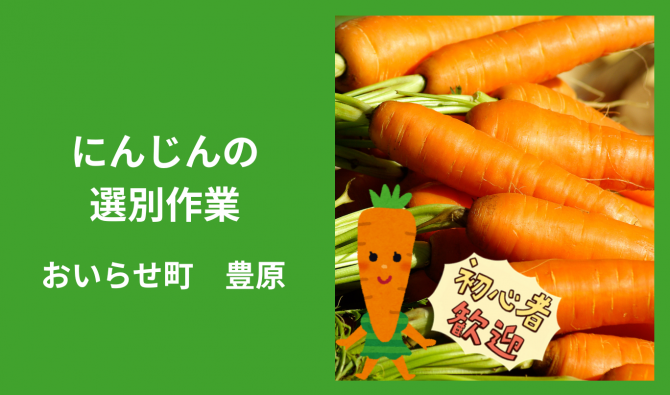 「「 ハカマダファームさん」おいらせ町 にんじん選別作業 8月お仕事カレンダー」のサムネイル