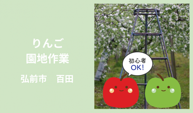「「 工藤農園さん」弘前市 りんご実すぐり作業 6月お仕事カレンダー」のサムネイル