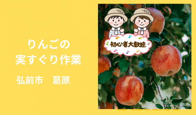「「デザイナーズファーム青森さん」りんごの実すぐり作業 7月お仕事カレンダー」のサムネイル