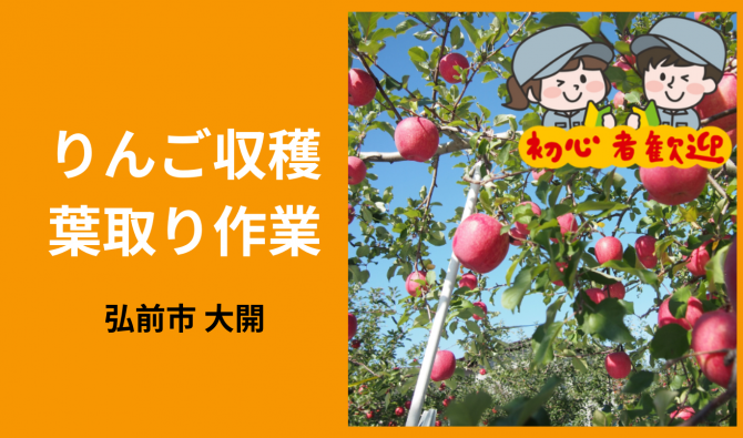 「「やまがたりんご園さん」弘前市 りんご収穫・葉取り作業 10月お仕事カレンダー」のサムネイル