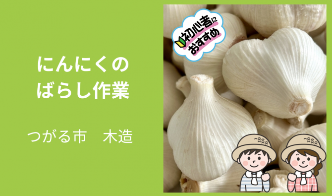「「 Linksさん」 にんにくのタネのばらし・皮むき作業 8月お仕事カレンダー」のサムネイル