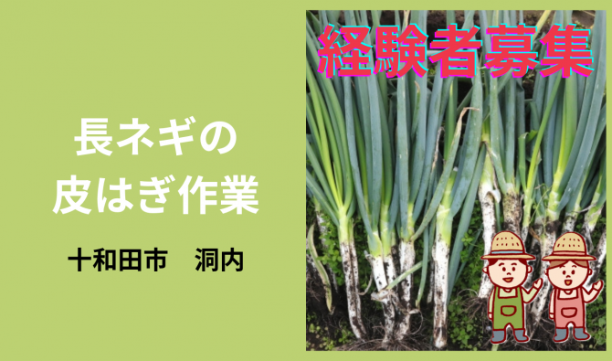 「「 水尻政雄さん」十和田市 【経験者】長ネギの皮はぎ作業 8月お仕事カレンダー」のサムネイル