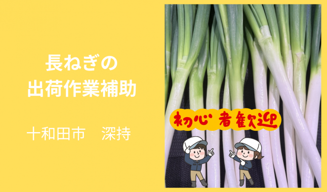 「「中野渡充さん」十和田市 ネギの皮むき作業等 9月お仕事カレンダー」のサムネイル