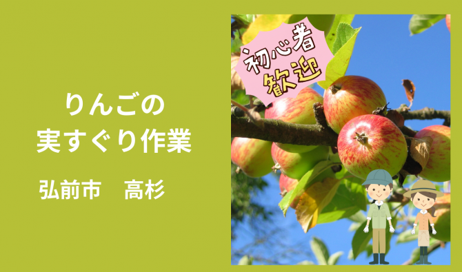 「「 既凋園さん」弘前市  りんご実すぐり作業　 7月お仕事カレンダー」のサムネイル