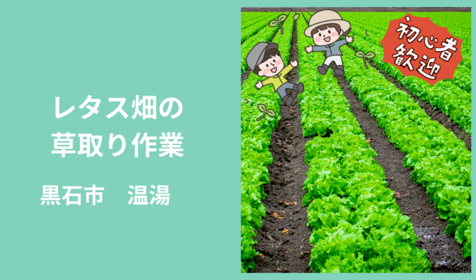 「「 高原野菜さん」黒石市 畑の草取り作業 8月お仕事カレンダー」のサムネイル