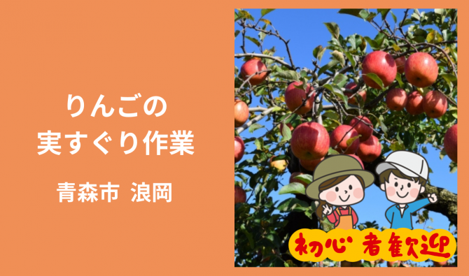 「「 福士農園(浪岡)さん」青森市 りんご実すぐり作業 7月お仕事カレンダー」のサムネイル