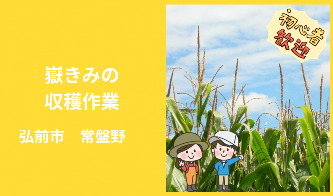 「「福田農園さん」弘前市 収穫作業補助 9月お仕事カレンダー」のサムネイル