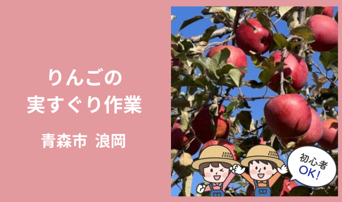 「「 鎌田農園(浪岡)さん」青森市 りんご実すぐり作業 7月お仕事カレンダー」のサムネイル