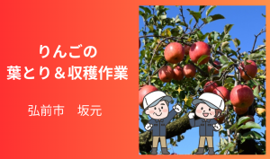 「「 今農園さん」弘前市 りんごの管理作業全般 9月お仕事カレンダー」のサムネイル