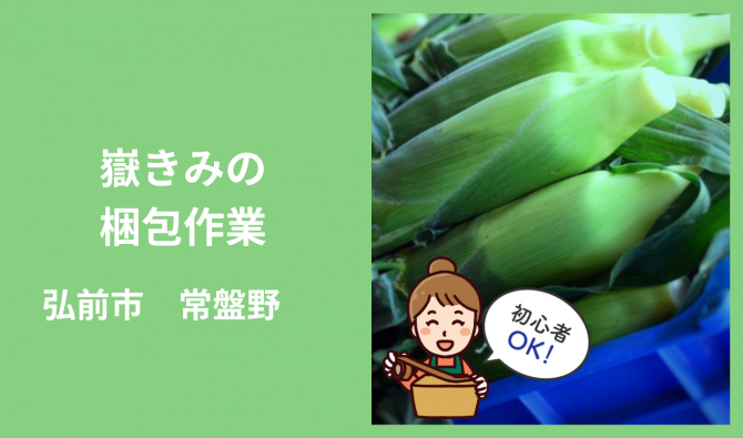 「「福田農園さん」弘前市 嶽きみ梱包作業 8月お仕事カレンダー」のサムネイル