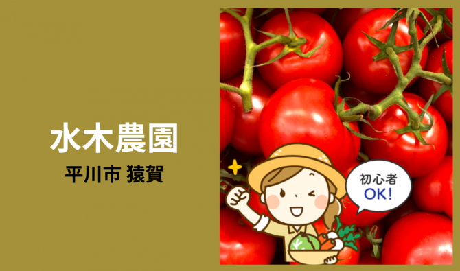 「「 🍅水木農園さん」平川市  ミニトマト収穫作業　 7月お仕事カレンダー」のサムネイル