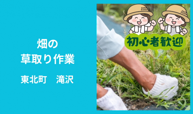「「 株式会社ひかり農園さん」東北町　畑の草取り作業 7月お仕事カレンダー」のサムネイル