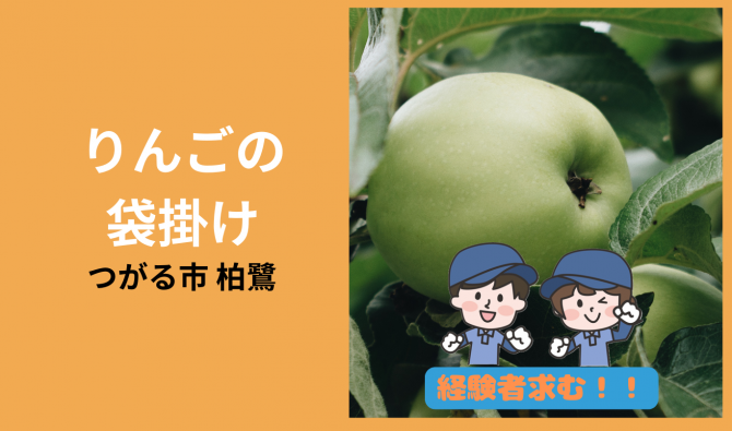 「「 木村農産さん」つがる市 りんご袋掛け作業 7月お仕事カレンダー」のサムネイル